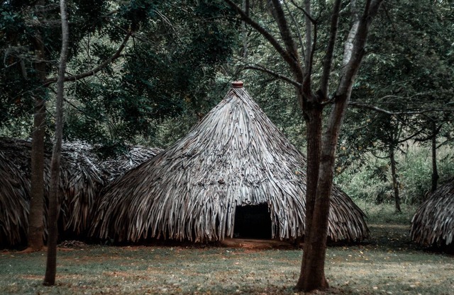 Banyan Camp Huts Eco Retreat on Full Board Basis