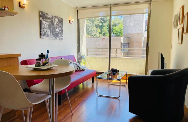 Barrio Lastarria, Excelentes Apartamentos - Sofia Camilla Propiedades