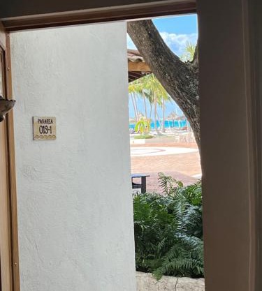 Bayahibe Cadaques Caribe Apartment