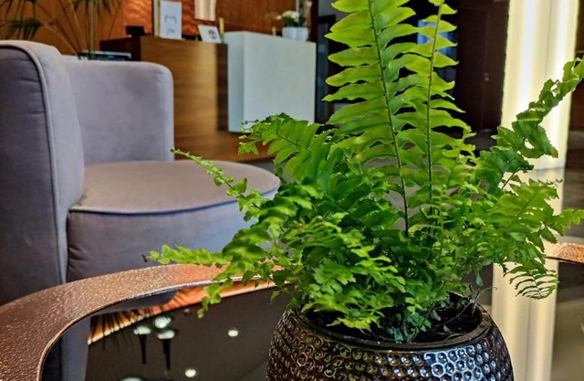 Bazuny Hotel&Spa