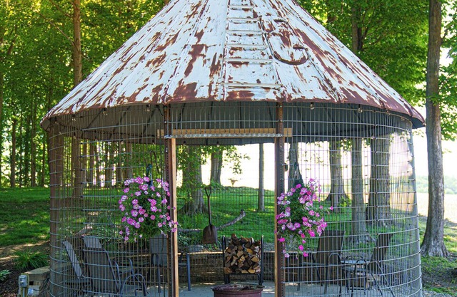 Be Our -Country- Guest