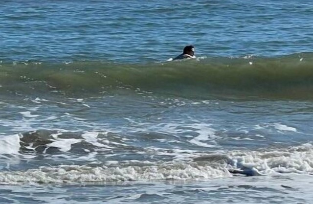 Beach Condo on Sullivans Island