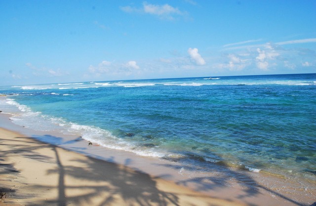 Beach House