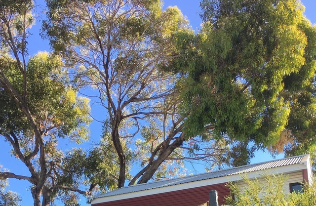 BEACH SHACK PRESTON BEACH RESORT - HEATED POOL - FOXTEL - 500M TO BEACH