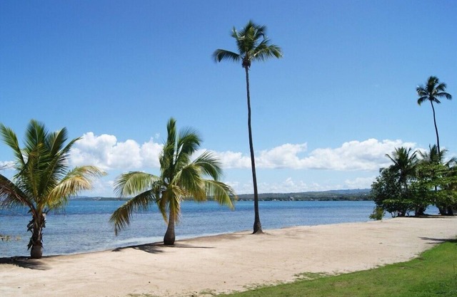 Beachfront 1 Bedroom Apt. With Spectacular View