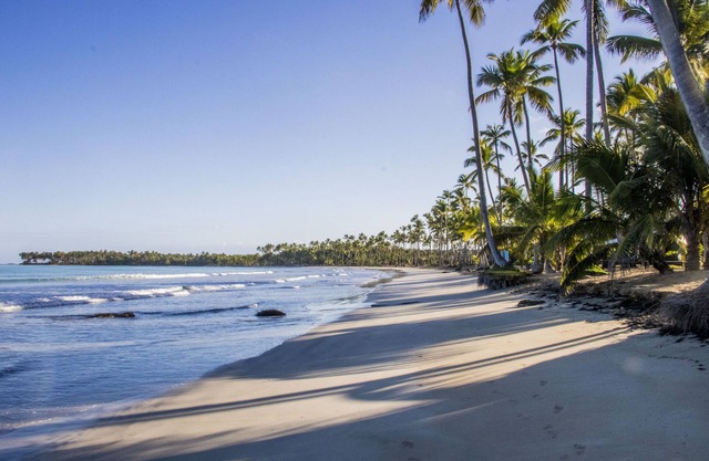 Beachfront AND Oceanview Condo! Daily cleaning and cooking included