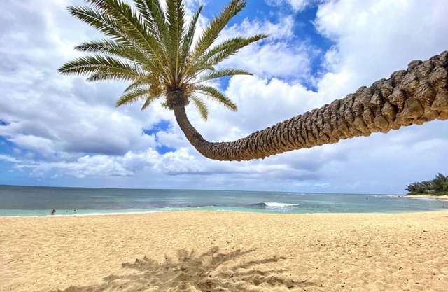 Beachfront Bungalow - New Build on the beach!