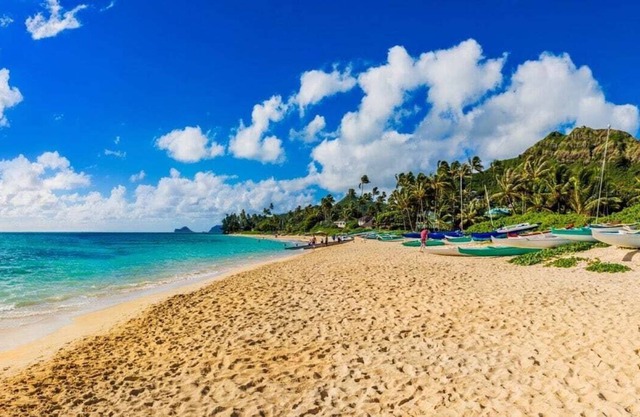 Beachfront Cottage - Steps to beach, AC