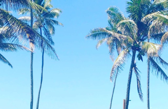 Beachfront house praia de Vilas do Atlântico