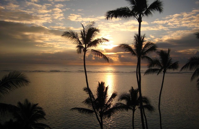 Beachfront Penthouse - Newly Renovated!