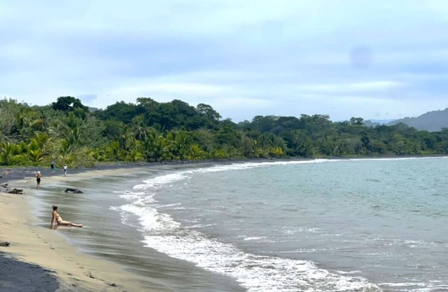 Beachfront | Pool Access | Walk Everywhere