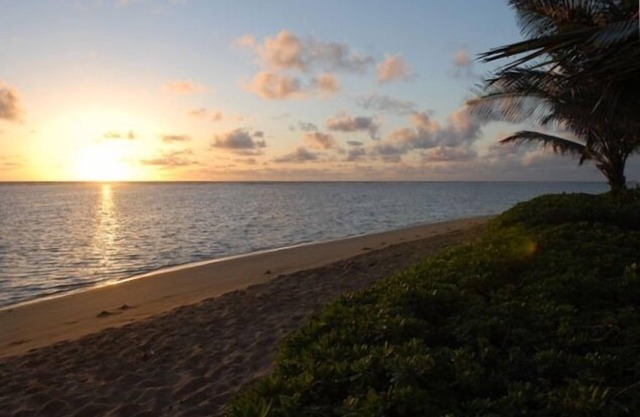 Beachfront Studio Cottage