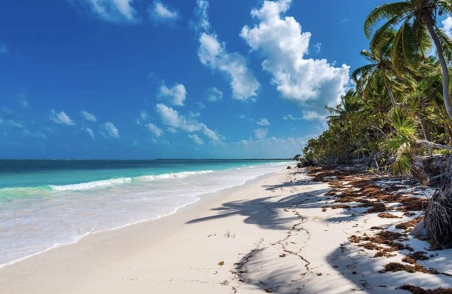 Beachfront Tulum Villa