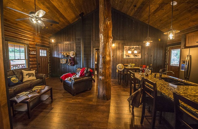 Bear Creek Cabin 3 - 2 bed, 2 bath cabin, sleeps 6