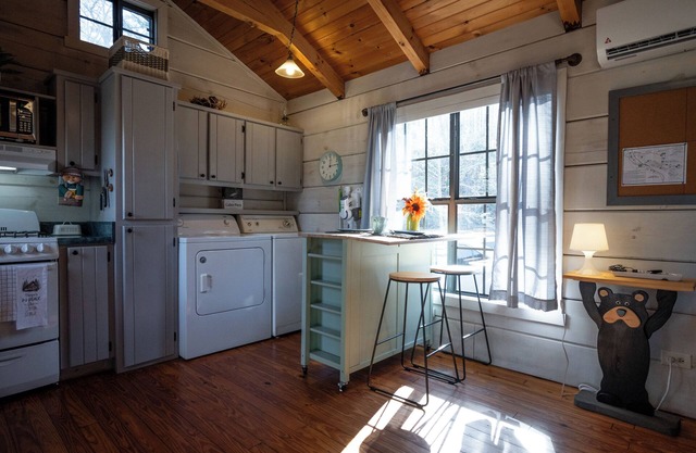 Bear Necessities Cabin