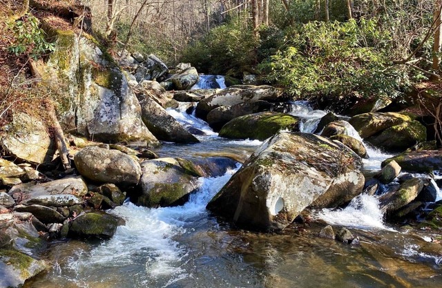 Bear's Mountaintop View /Lake Santeetlah /Smokey Mountains