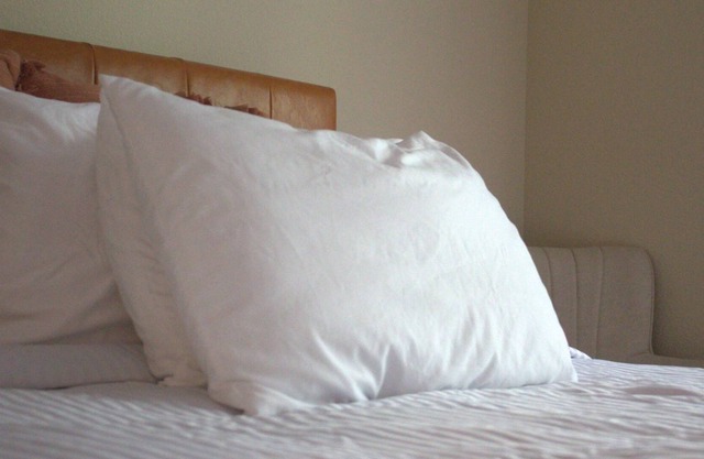 Beautiful 1br w/ gym and pool access