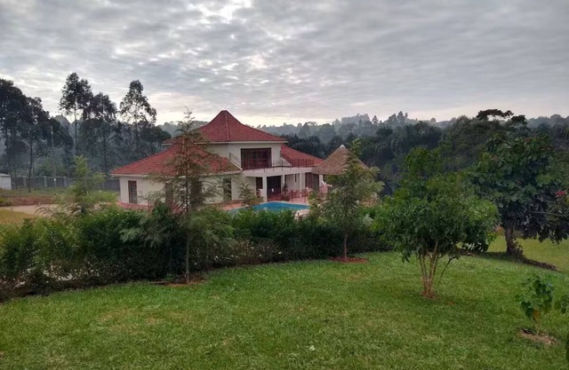 Beautiful architect-designed Home in the countryside in peaceful surroundings.