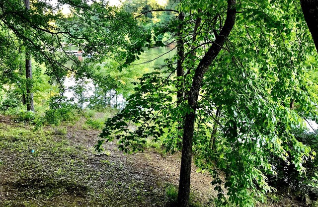 Beautiful cabin in the forest on the lake