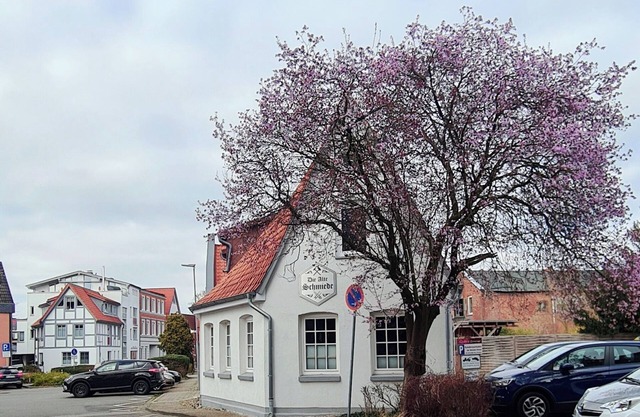 Beautiful central vacation apartment in the Alte Schmiede Winsen (Luhe)