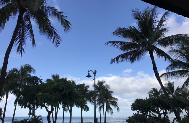 Beautiful Condo in the heart Diamond Head Honolulu, HI