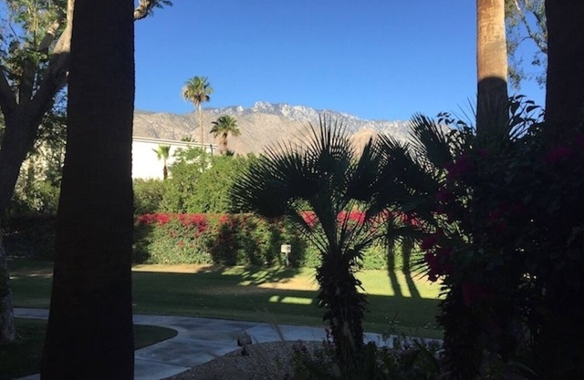 Beautiful Condo in gated desert oasis community in the Heart of Palm Springs