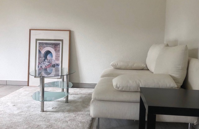 BEAUTIFUL DUPLEX APARTMENT IN THE COUNTRYSIDE 3KM FROM DELEMONT