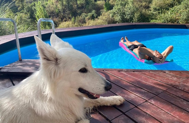 Beautiful farm cottage Private pool.Casares . Fast net. Spring offers .