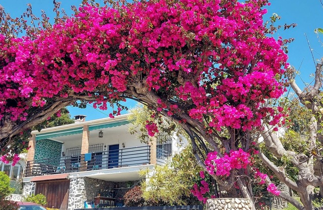 Beautiful house with garden 3 minutes from the beach