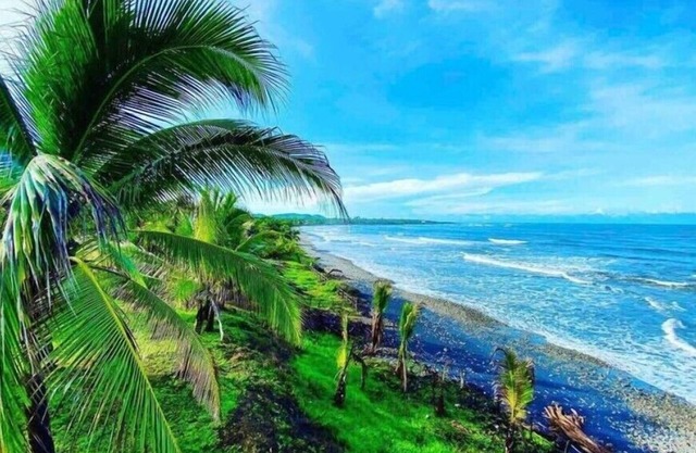 Beautiful oceanfront Room right on Playa La Saladita!n