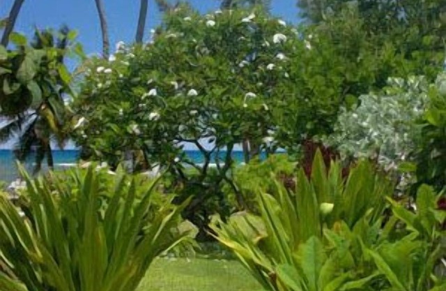 Beautiful Oceanfront Hideaway