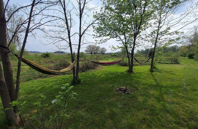 Beautiful private meadow