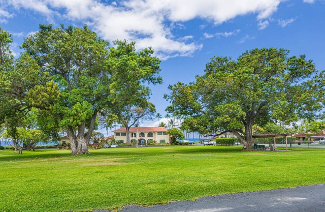 Beautiful Puamana Property 161-2