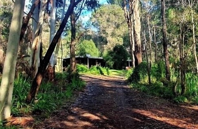 Beautiful, relaxing bush retreat on acreage a short walk to town.