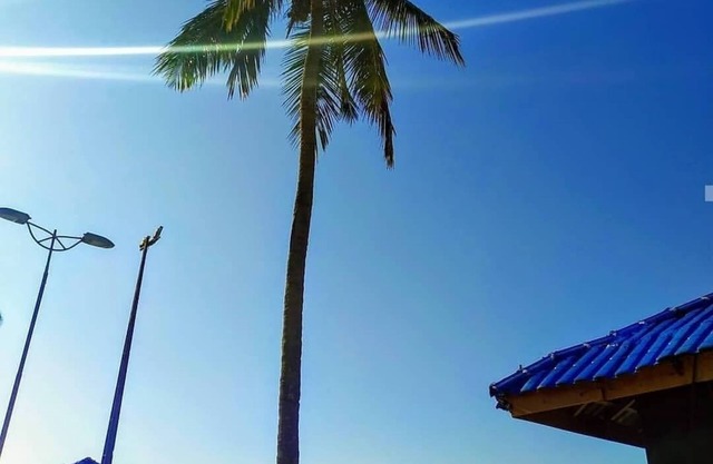 Beautiful seafront apartment !