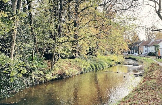 Beautiful spacious cottage in market town