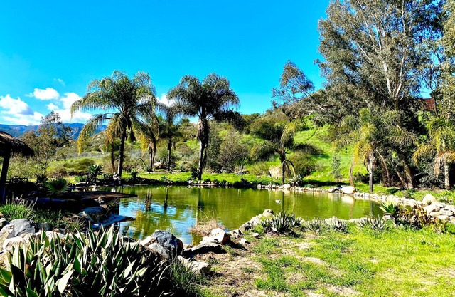Beautiful, spacious gated ranch home on 12+ acres with big koi pond & pickleball