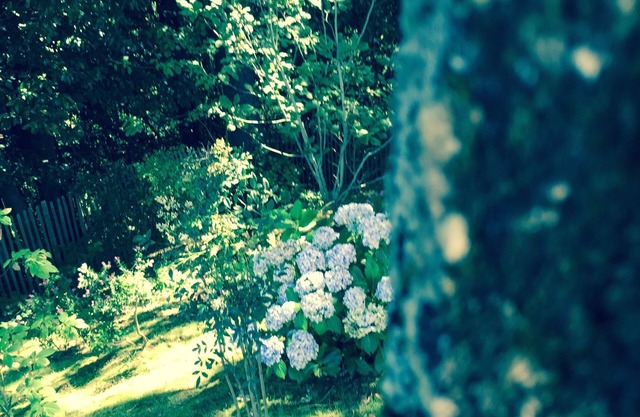 Beautiful VIilla On The Sea