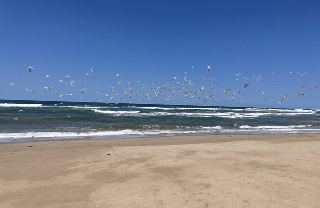 Beautiful villa in tranquil reservation area close to the beach