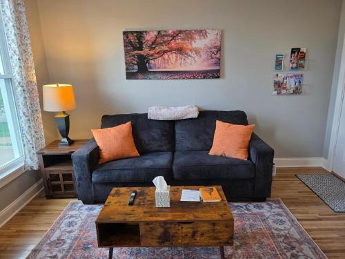 Beautifully Renovated Downtown 1Bed 1 Bath Apt, Pet Friendly