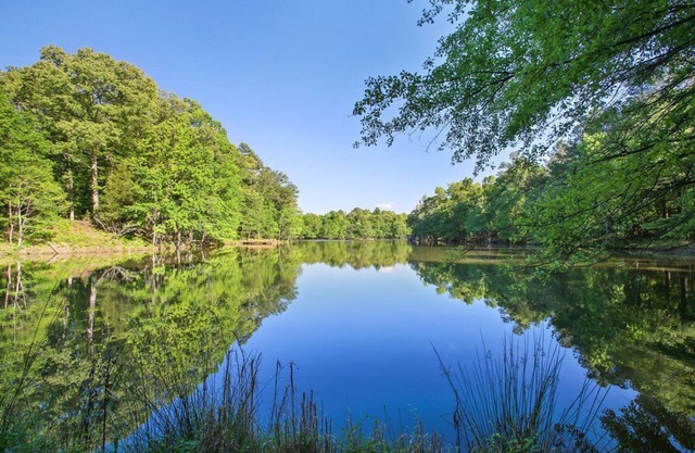 Becks Lake Studio n Fire Pit 3/4 mile to Silver Comet Trailnnear wedding venues