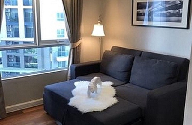 belle grand condo /luxury/3beds/mrt/rama9/ratchada/shopping