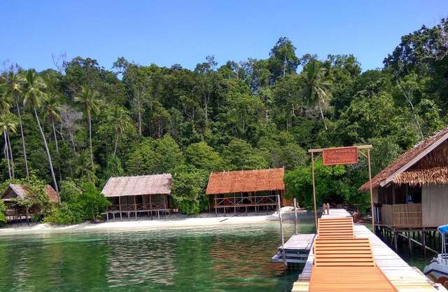 Best rajaampat homestay. the best spot for snorkling and diving mansuar island,,