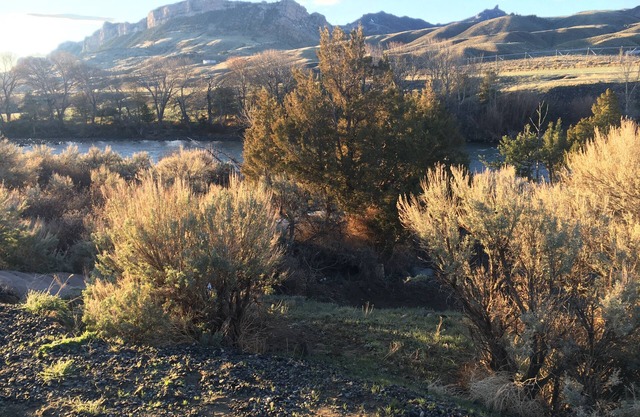 BEST VALUE-JUST LISTED-ON THE RIVER-NEW-VERY QUIET-PRIVATE