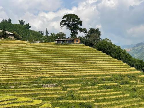 Best View Homestay