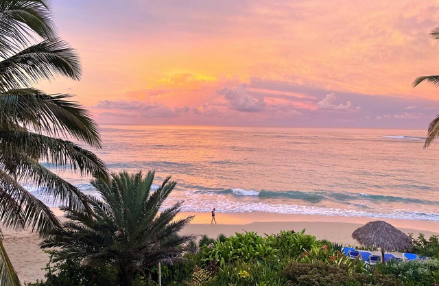 BestView Penthouse Fibre Optic Wifi