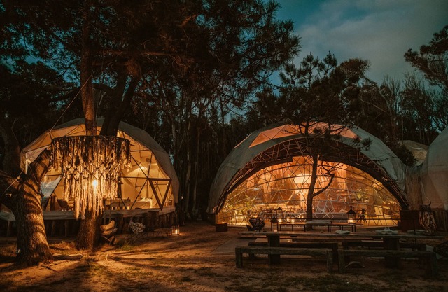 Big Bang Nature Stays