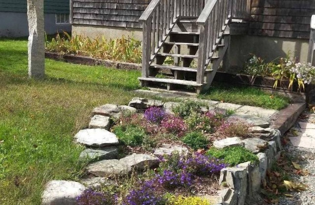 Big Dragonfly - cozy and quaint in the village of Bar Harbor