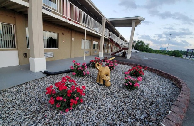 Big Spring Inn Madisonville