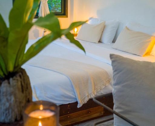 Big Tree Boutique Hotel